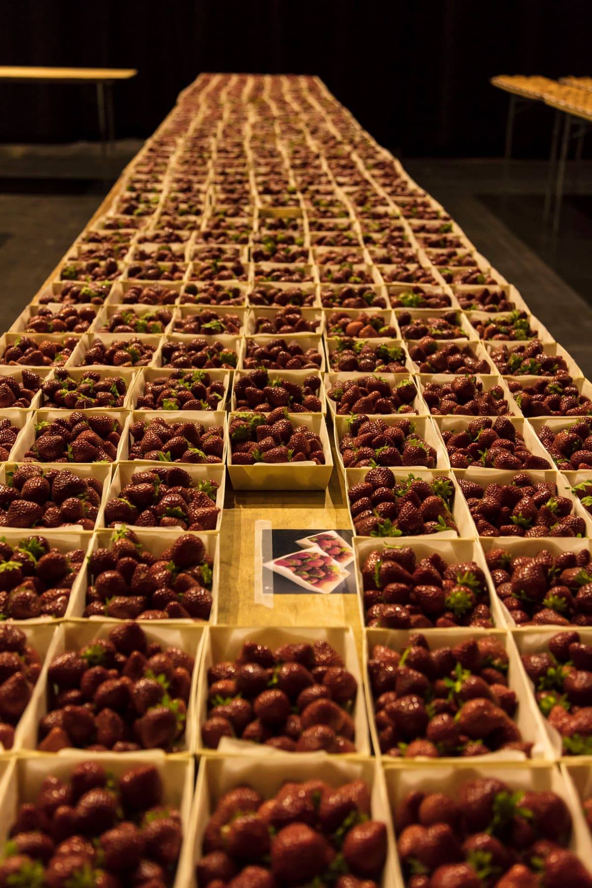 Wooden punnets of berries lined up the length of a banquet table